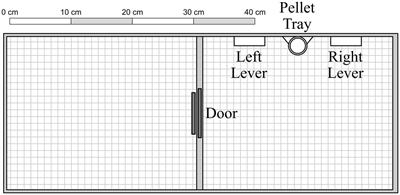 Social familiarity and reinforcement value: a behavioral-economic analysis of demand for social interaction with cagemate and non-cagemate female rats